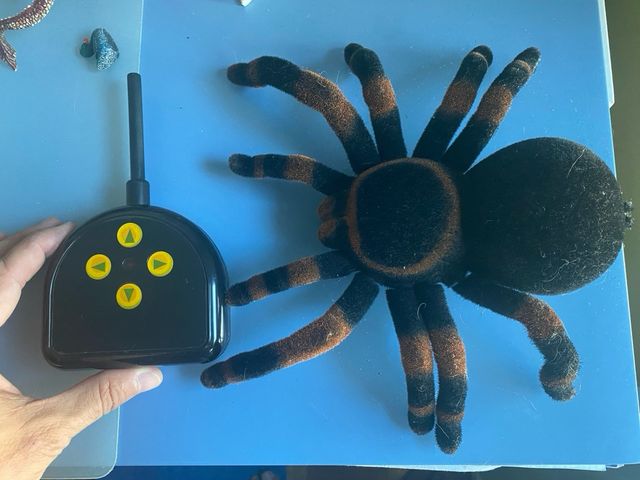 Tarantula control remoto