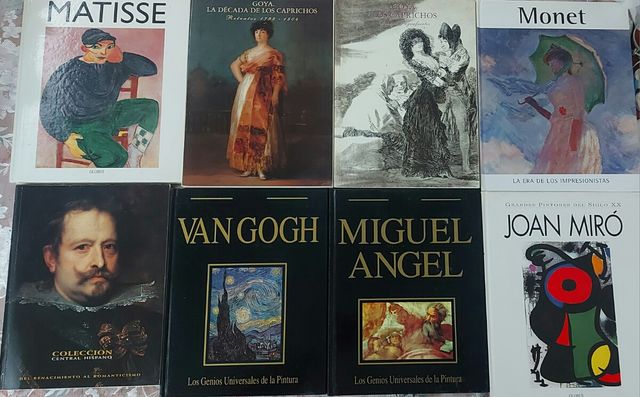 Lote 8 libros pinturas - pintores
