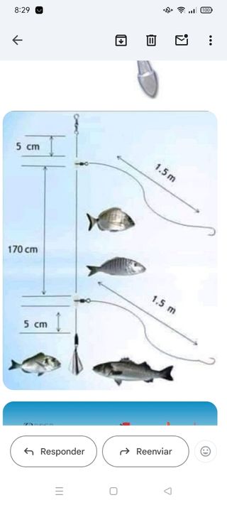 12 Bajos Líneas Pesca.