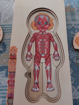Puzzle del cuerpo humano