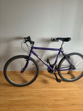 Bicicleta clasica Bh sunny P410