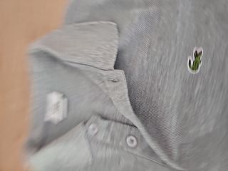 Polo lacoste, camiseta, LACOSTE
