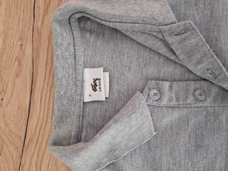 Polo lacoste, camiseta, LACOSTE
