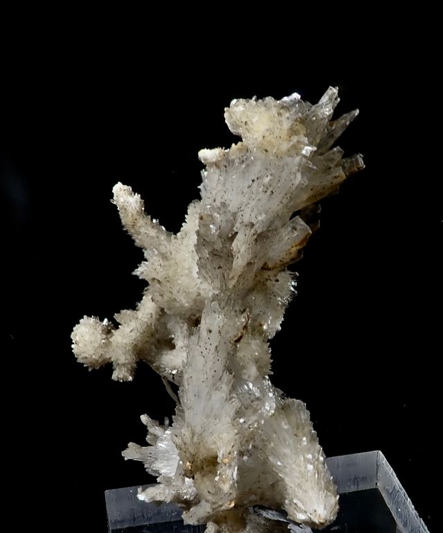 Mineral. Excéntricas de Aragonito