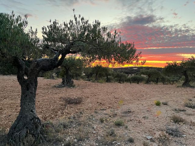 Terreno urbano 70m2 Escopete