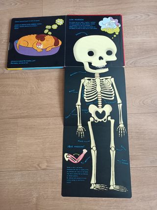 Libro infantil "El cuerpo humano"