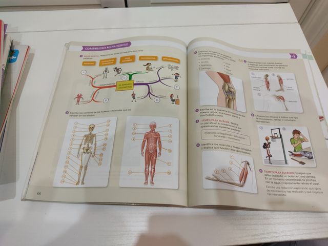 Libro sexto primaria Ciencias Naturaleza