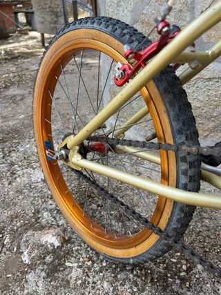 Bicicleta orbea campeon-3