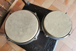 Bongos Maxtone