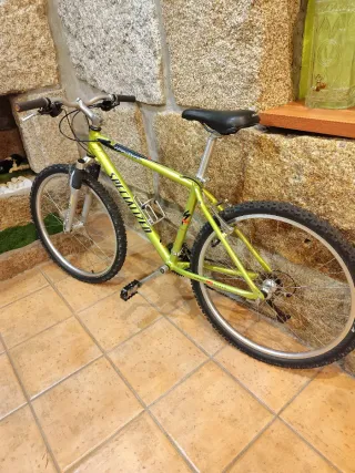 Specialized Hardrock