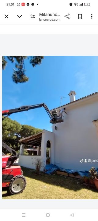 Pintor y albañil 
