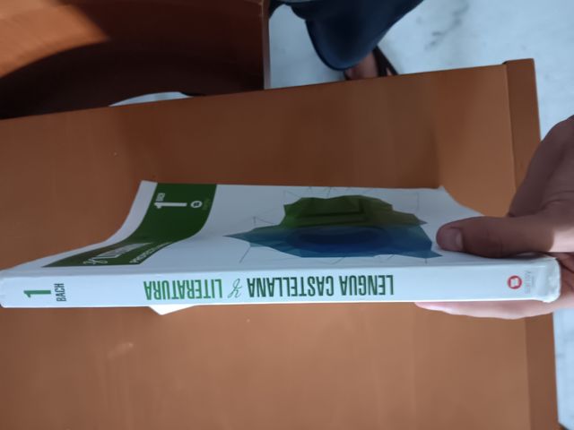 Lengua Castellana y Literatura 1°Bach