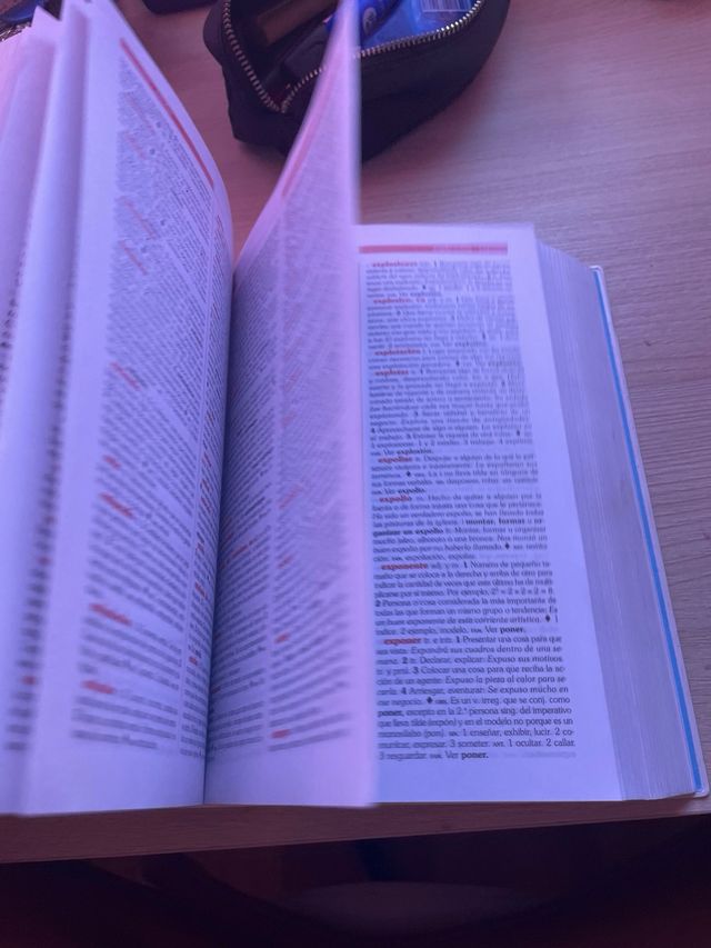 diccionario lengua castellana secundaria