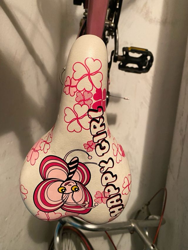 Bicicleta niña 24 pulgadas