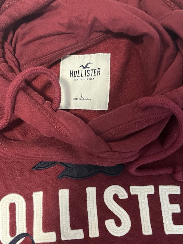 Sudadera Hollister
