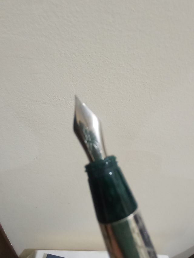 Penna stilografica Roberta di Camerino