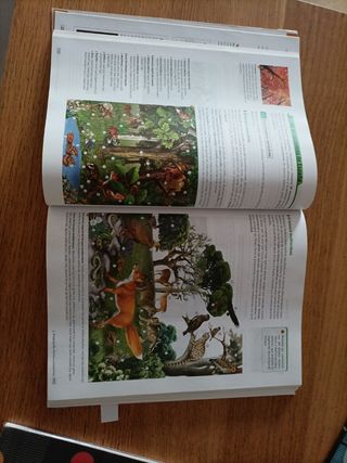 Biología y Geología 1 Bachillerato Bruño