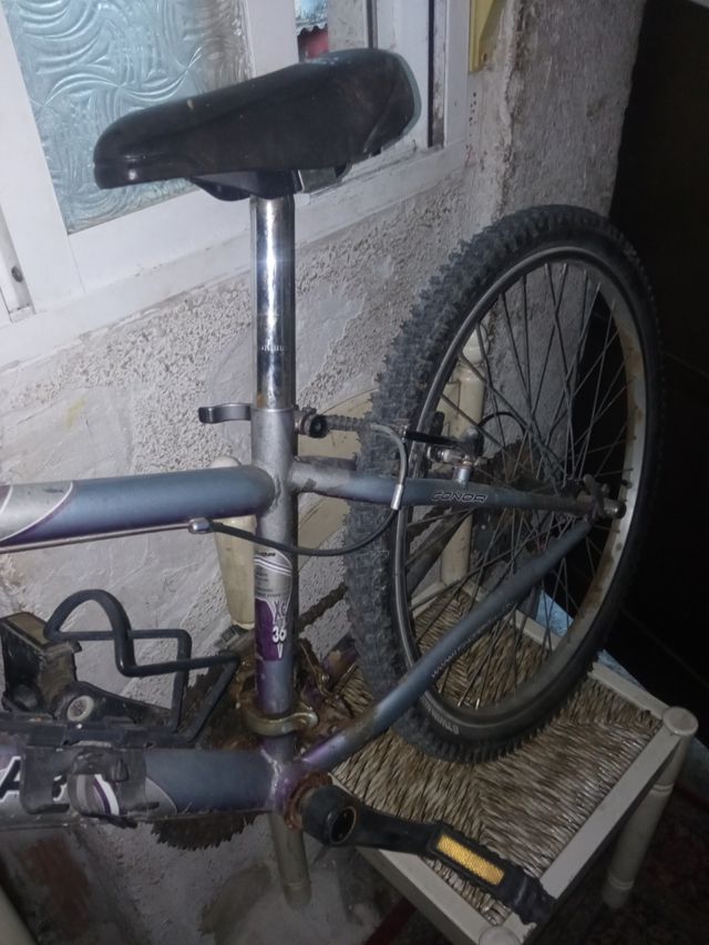 Bicicletas