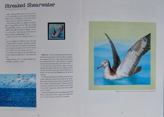 JAPÓN SELLOS 1993 BIRDS AT THE WATER´S EDGE (16u.)