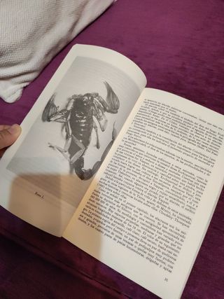 El maravilloso mundo de los arácnidos