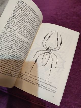 El maravilloso mundo de los arácnidos