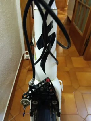 SPECIALIZED ALLEZ COMP E5 T-54