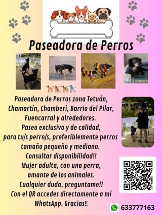 Paseadora de Perros