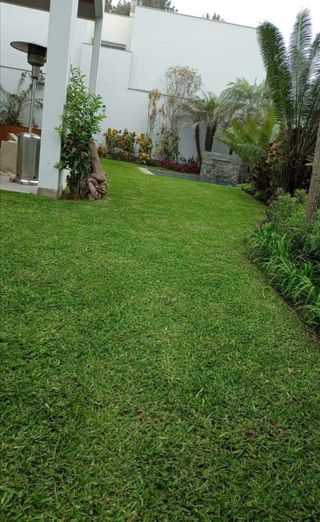 Jardinero económico