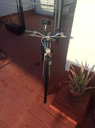 Bicicleta BH gacela económica