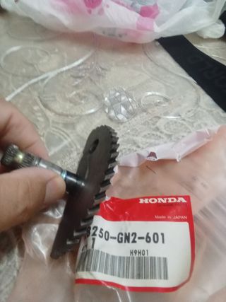 Cremagliera messa in moto 