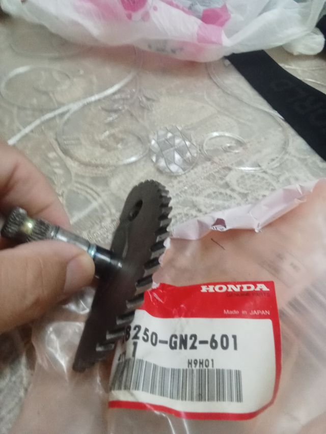 Cremagliera messa in moto