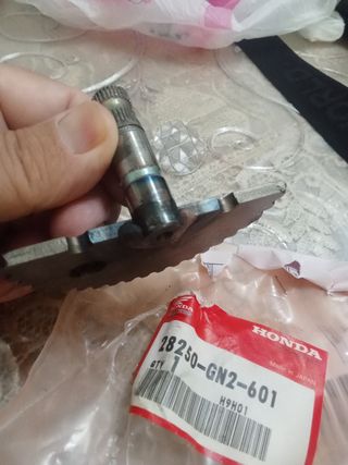 Cremagliera messa in moto 