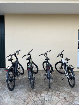 Bicicletta elettrica