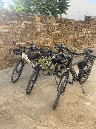 Bicicletta elettrica