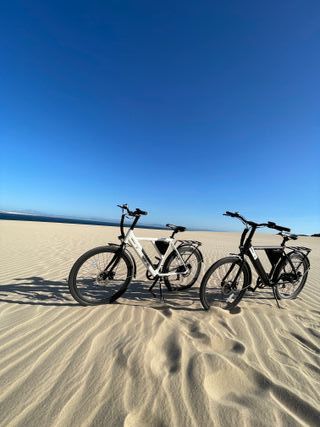 Bicicletta elettrica