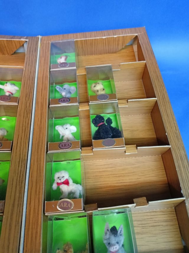 Collezionare figurine