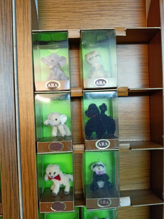 Collezionare figurine