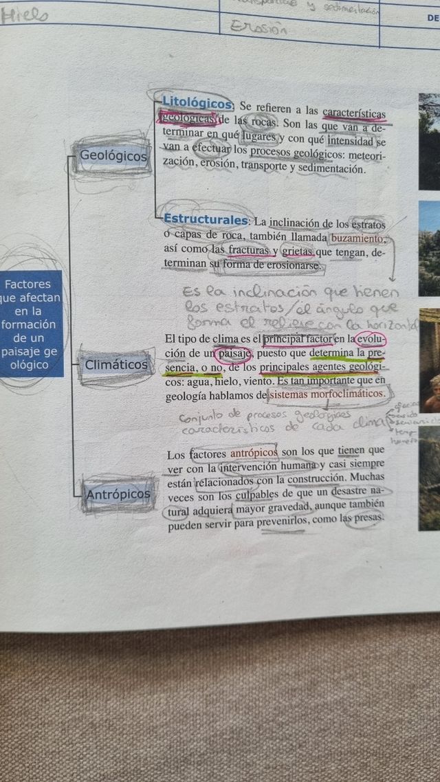 Cuaderno actividades 5 biología