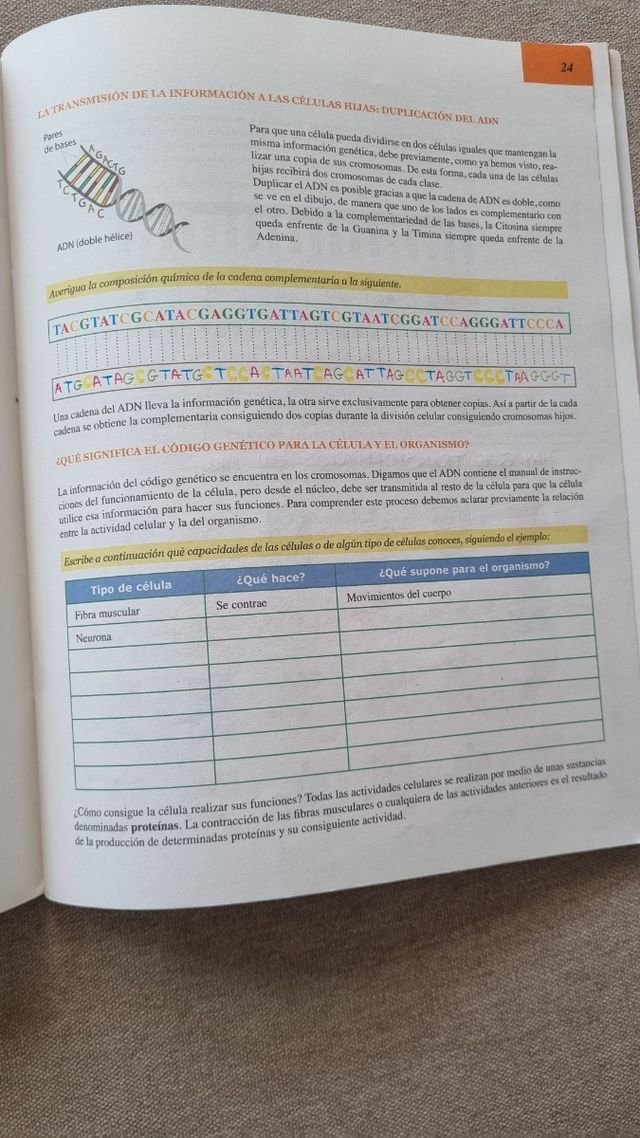 Cuaderno de actividades 3