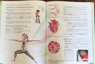 Libro naturales quinto primaria revuela