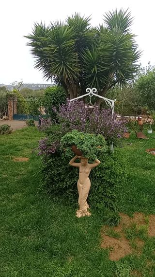 Jardinero profesional
