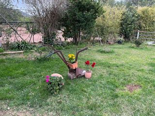 Jardinero profesional