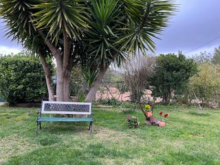 Jardinero profesional