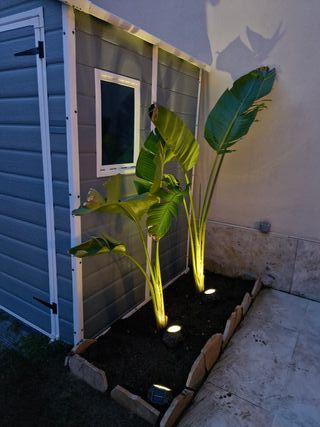 Jardinero profesional