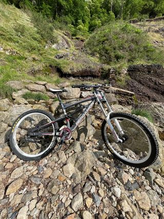 BERGAMONT STRAITLINE 7.1