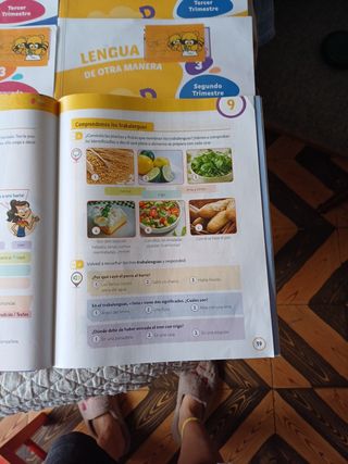 Libros tercero de primaria