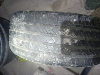 Neumático y llanta solo una rueda