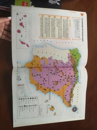 Ciencias sociales 4° primaria SM