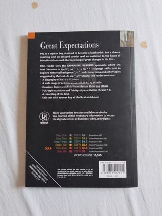 Great expectations black cat