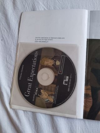 Great expectations black cat